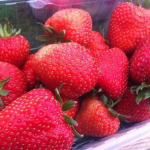Fruit and Veg