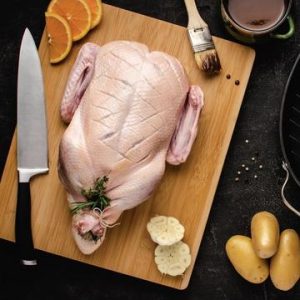 Gressingham Duck